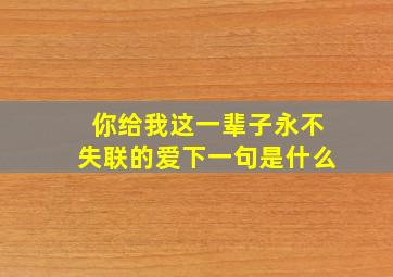 你给我这一辈子永不失联的爱下一句是什么