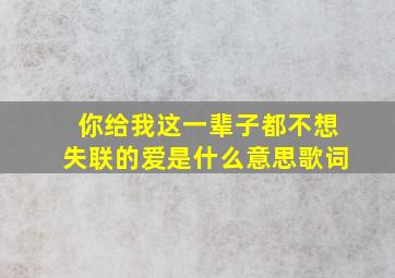 你给我这一辈子都不想失联的爱是什么意思歌词