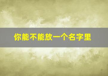 你能不能放一个名字里