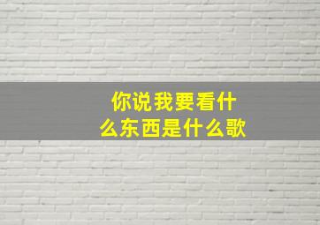 你说我要看什么东西是什么歌