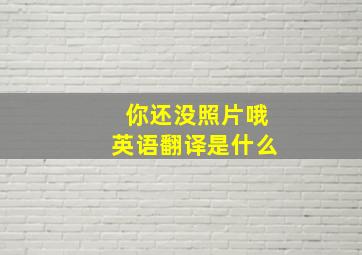 你还没照片哦英语翻译是什么