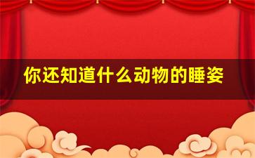 你还知道什么动物的睡姿