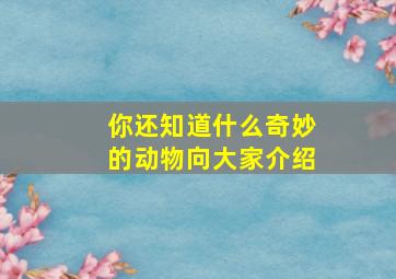 你还知道什么奇妙的动物向大家介绍