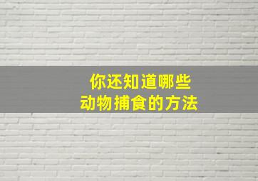 你还知道哪些动物捕食的方法