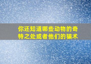 你还知道哪些动物的奇特之处或者他们的骗术