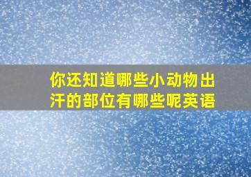 你还知道哪些小动物出汗的部位有哪些呢英语