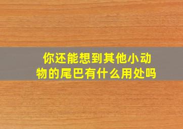 你还能想到其他小动物的尾巴有什么用处吗