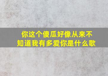 你这个傻瓜好像从来不知道我有多爱你是什么歌