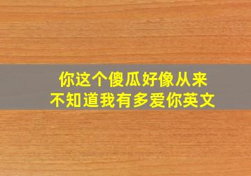 你这个傻瓜好像从来不知道我有多爱你英文