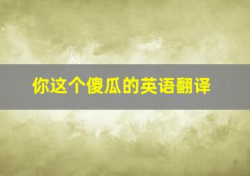 你这个傻瓜的英语翻译