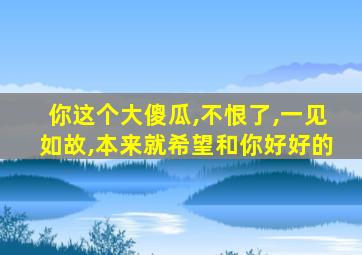 你这个大傻瓜,不恨了,一见如故,本来就希望和你好好的