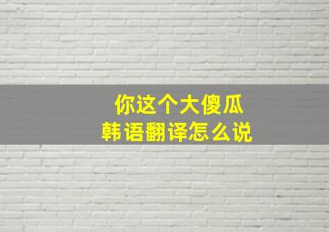 你这个大傻瓜韩语翻译怎么说