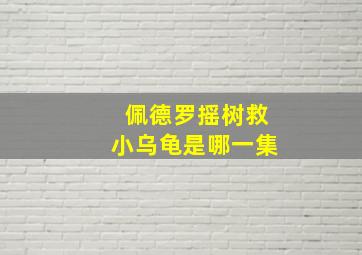 佩德罗摇树救小乌龟是哪一集