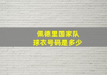 佩德里国家队球衣号码是多少