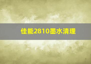 佳能2810墨水清理