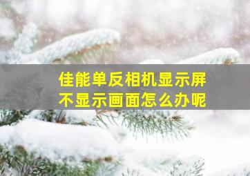 佳能单反相机显示屏不显示画面怎么办呢