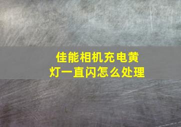 佳能相机充电黄灯一直闪怎么处理