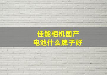 佳能相机国产电池什么牌子好