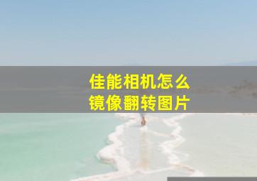 佳能相机怎么镜像翻转图片