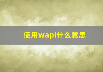 使用wapi什么意思