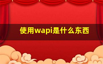 使用wapi是什么东西