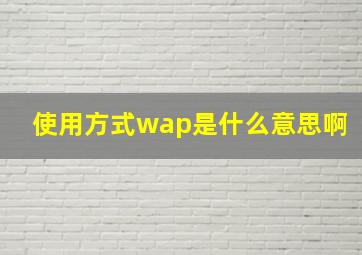 使用方式wap是什么意思啊