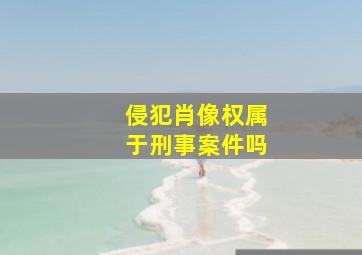 侵犯肖像权属于刑事案件吗