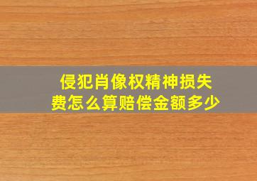 侵犯肖像权精神损失费怎么算赔偿金额多少