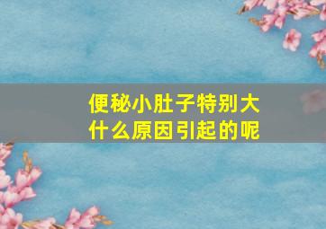 便秘小肚子特别大什么原因引起的呢