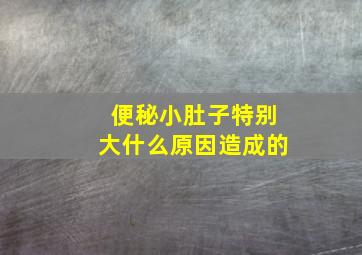 便秘小肚子特别大什么原因造成的