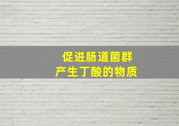 促进肠道菌群产生丁酸的物质