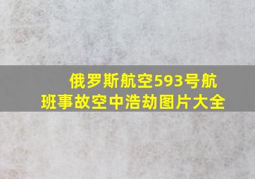 俄罗斯航空593号航班事故空中浩劫图片大全