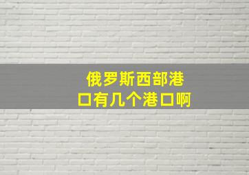 俄罗斯西部港口有几个港口啊