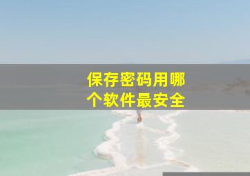 保存密码用哪个软件最安全