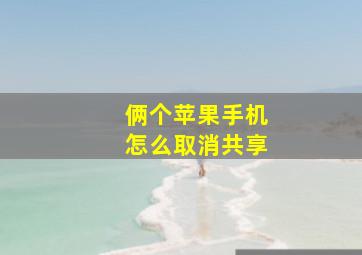 俩个苹果手机怎么取消共享