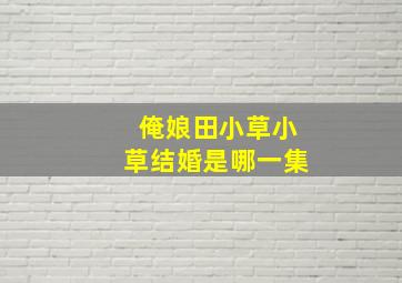 俺娘田小草小草结婚是哪一集