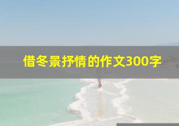 借冬景抒情的作文300字