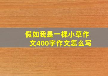 假如我是一棵小草作文400字作文怎么写