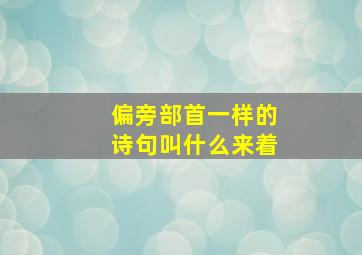 偏旁部首一样的诗句叫什么来着