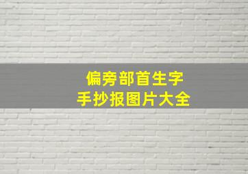 偏旁部首生字手抄报图片大全