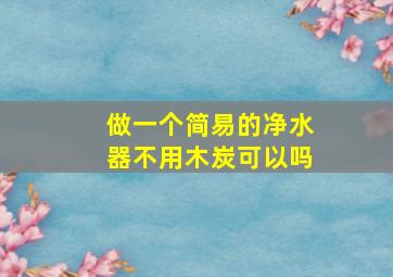 做一个简易的净水器不用木炭可以吗