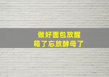 做好面包放醒箱了忘放酵母了