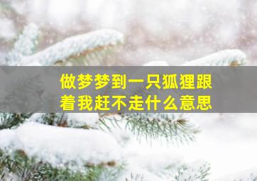 做梦梦到一只狐狸跟着我赶不走什么意思