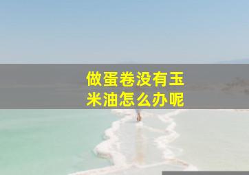 做蛋卷没有玉米油怎么办呢