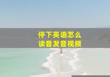 停下英语怎么读音发音视频