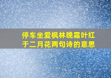 停车坐爱枫林晚霜叶红于二月花两句诗的意思