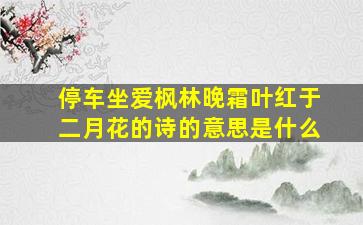 停车坐爱枫林晚霜叶红于二月花的诗的意思是什么