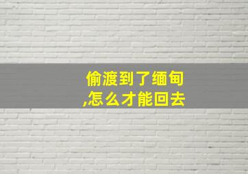 偷渡到了缅甸,怎么才能回去