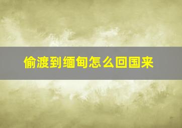 偷渡到缅甸怎么回国来