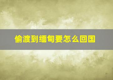 偷渡到缅甸要怎么回国